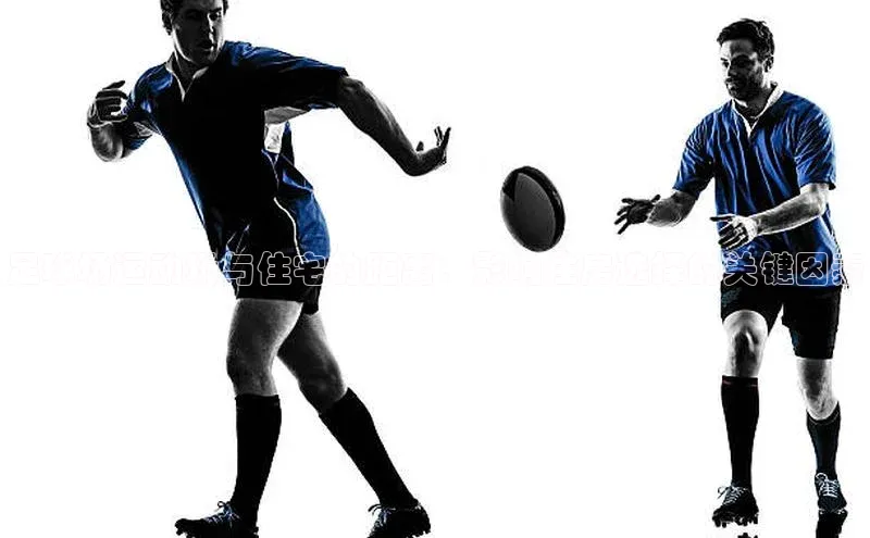 头玩官网登录入口华扬联众足球场运动场与住宅的距离：影响住房选择的关键因素