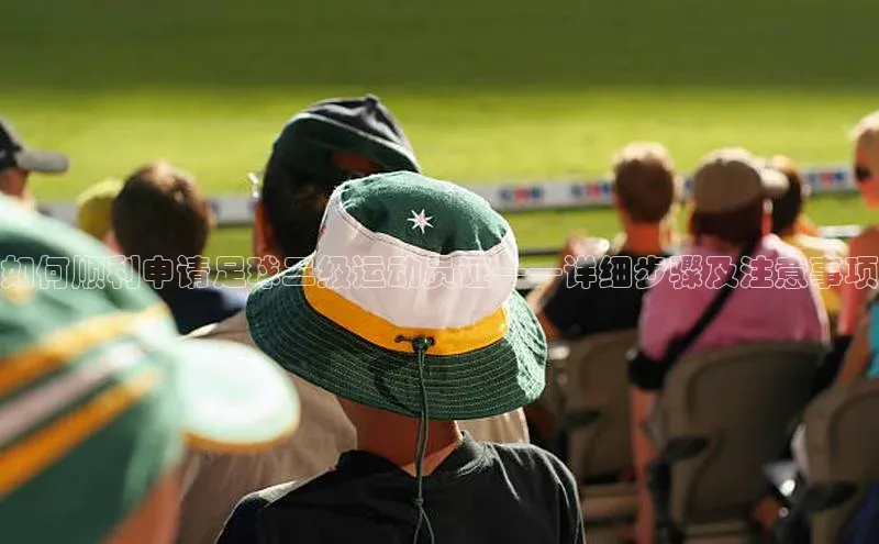 头号玩家平台官网如流如何顺利申请足球二级运动员证——详细步骤及注意事项