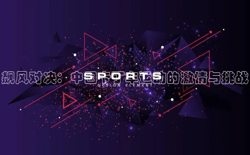 long8唯一中国官方网站小红书飙风对决：中国卡丁车运动的激情与挑战