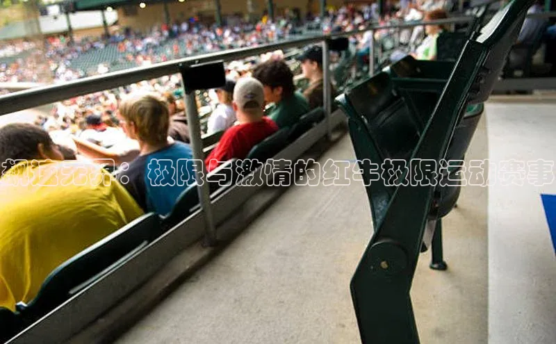 飙速无界：极限与激情的红牛极限运动赛事