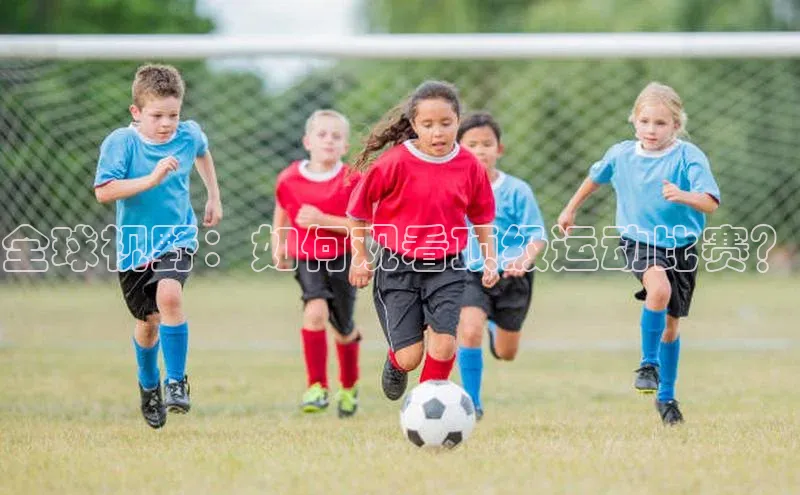 全球视野：如何观看顶级运动比赛？