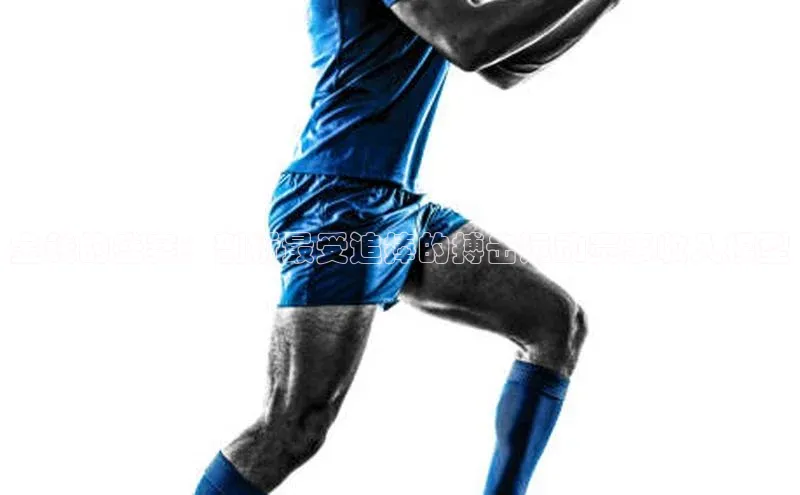 金钱的盛宴：剖析最受追捧的搏击运动赛事收入模型