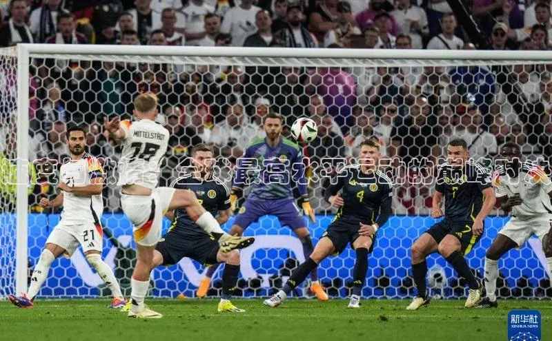 速度与激情：全球最高水平运动的巅峰对决