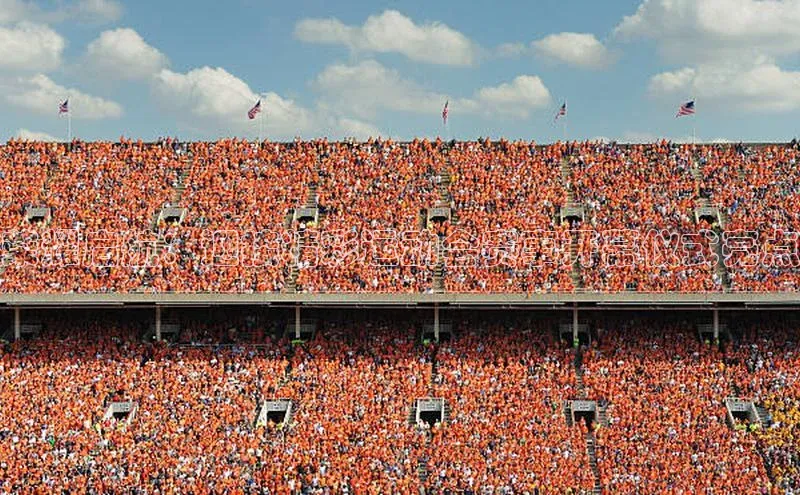 荣耀启航：迎接精彩运动会赛事开幕仪式亮点