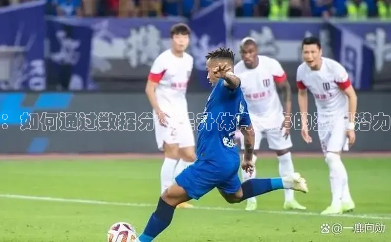 ：如何通过数据分析提升体育赛事的盈利潜力