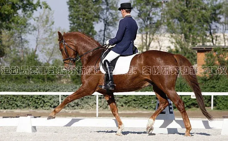 运动员赛事数据分析模型与应用：案例研究和策略建议