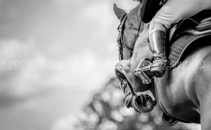 运动世界：校园赛事的精彩瞬间——官方平台介绍