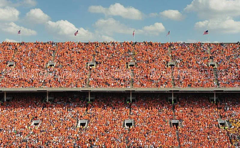 龙8国际产品中心