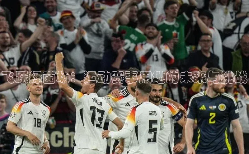 飞跃绿茵场：运动赛事用地的未来与挑战