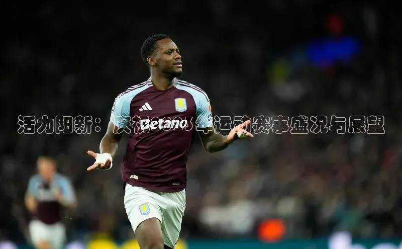 活力阳新：庆祝2023年运动赛事盛况与展望